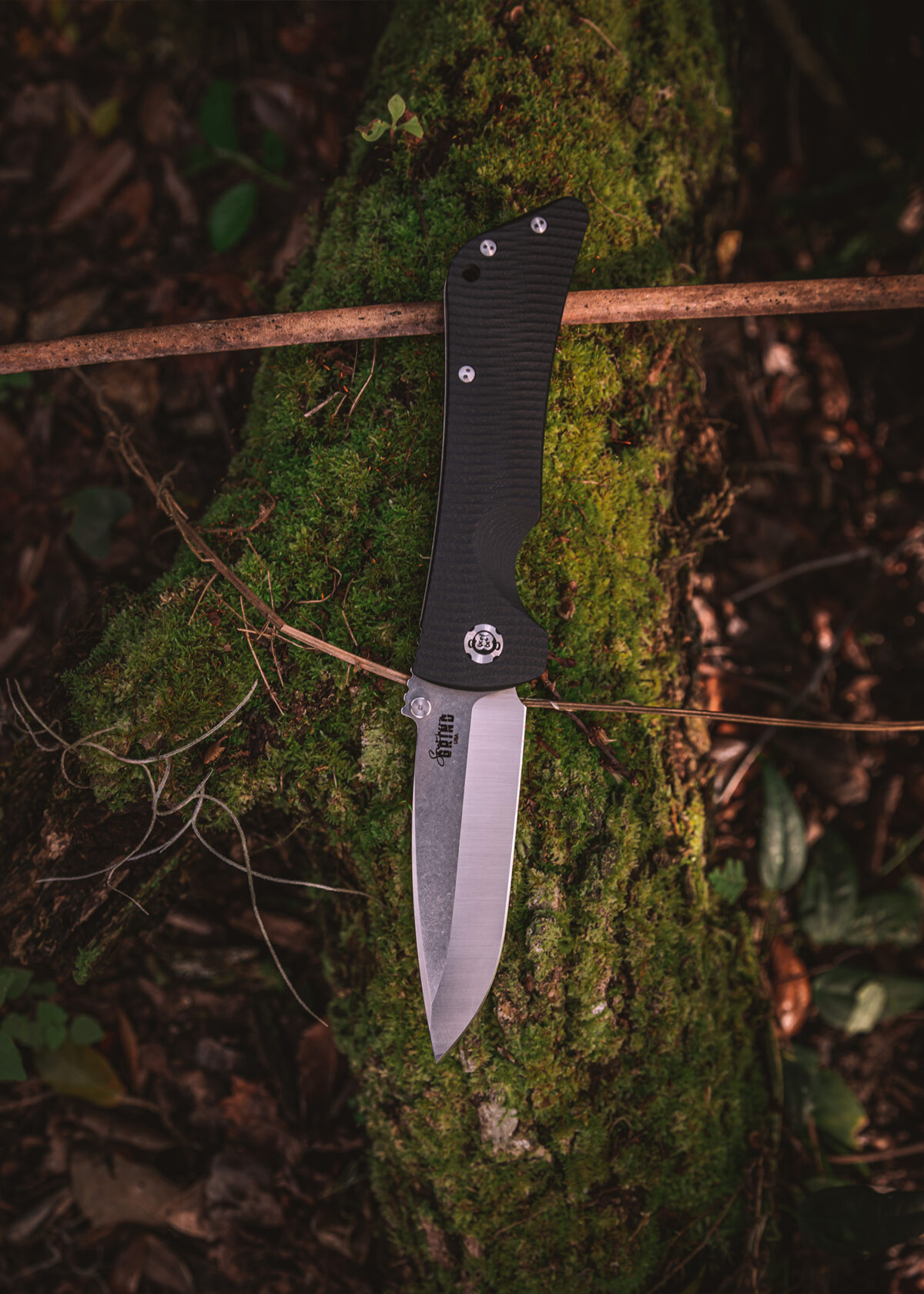 5x7 Bad Monkey 3
